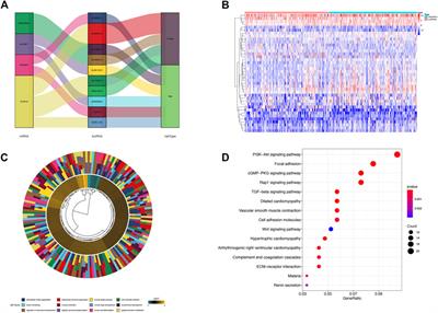 m6A-related lncRNAs predict prognosis and indicate cell cycle in gastric cancer